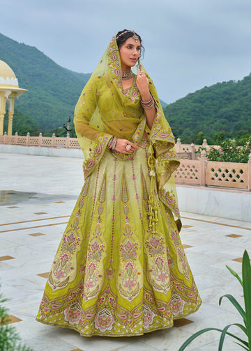 Shaded Green Embroidered Lehenga Choli In Silk