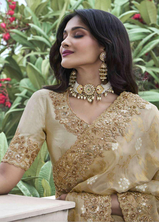 Beige Heavy Embroidered Mirror Work Saree - Indian Paridhan 