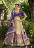 Grey & Purple Woven Embroidered Lehenga Choli - Indian Paridhan 